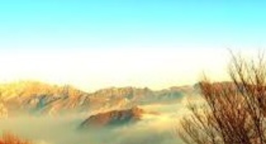 关于爱情岛论坛 - 爱情岛论坛 - 品牌全维度信息一站式了解入口